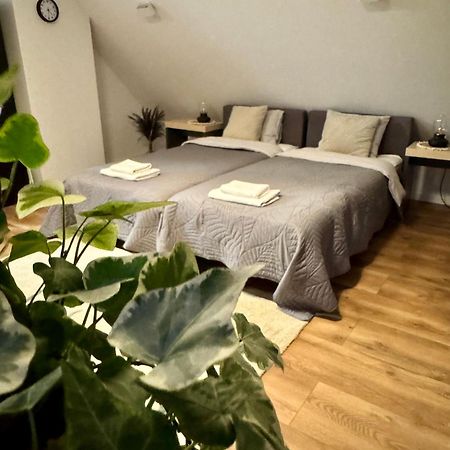 Apartamenty Astor - Ksiezycowy Szczawno-Zdroj Εξωτερικό φωτογραφία