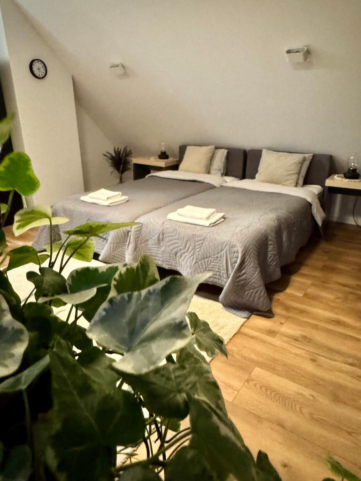 Apartamenty Astor - Ksiezycowy Szczawno-Zdroj Εξωτερικό φωτογραφία